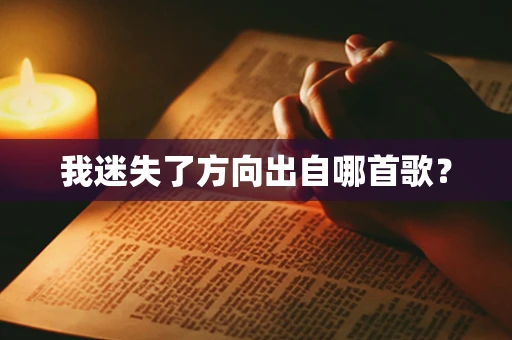 我迷失了方向出自哪首歌？