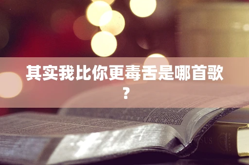其实我比你更毒舌是哪首歌？