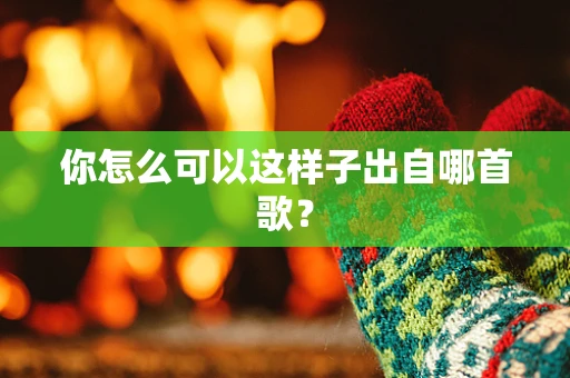 你怎么可以这样子出自哪首歌？