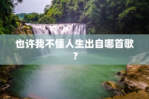 也许我不懂人生出自哪首歌？
