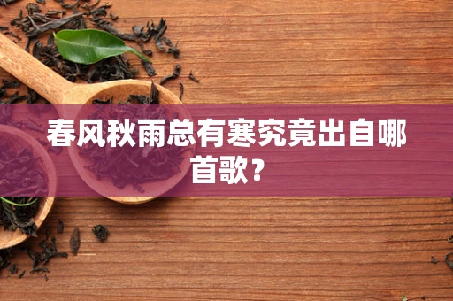 春风秋雨总有寒究竟出自哪首歌？
