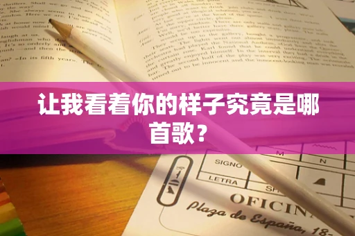 让我看着你的样子究竟是哪首歌？