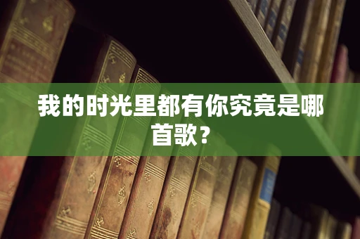 我的时光里都有你究竟是哪首歌？