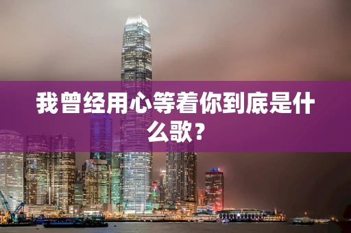 我曾经用心等着你到底是什么歌？