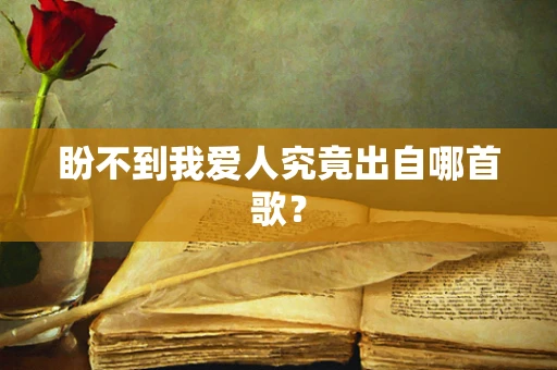 盼不到我爱人究竟出自哪首歌？