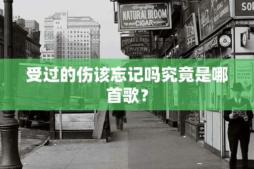 受过的伤该忘记吗究竟是哪首歌？