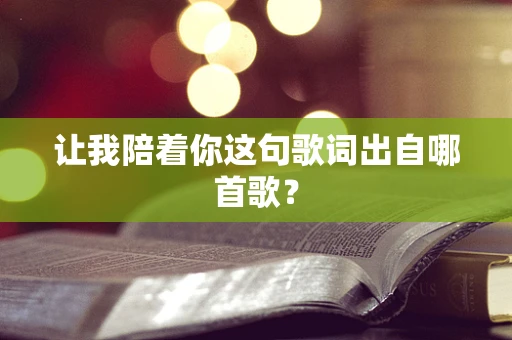 让我陪着你这句歌词出自哪首歌？