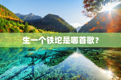 生一个铁坨是哪首歌？
