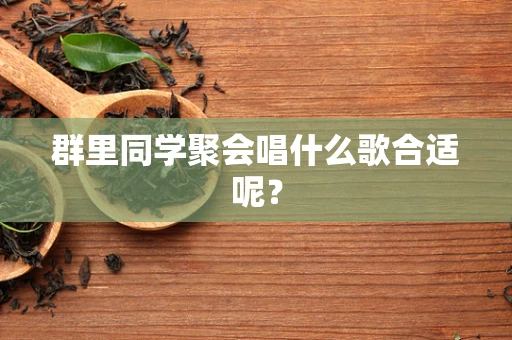 群里同学聚会唱什么歌合适呢？