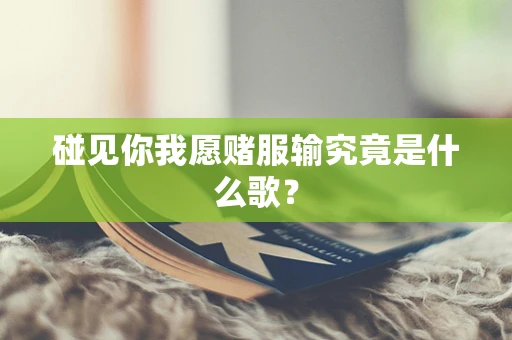 碰见你我愿赌服输究竟是什么歌？