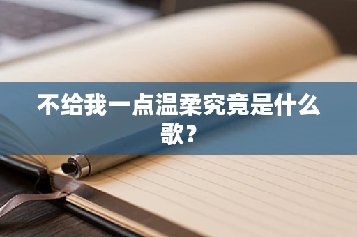 不给我一点温柔究竟是什么歌？