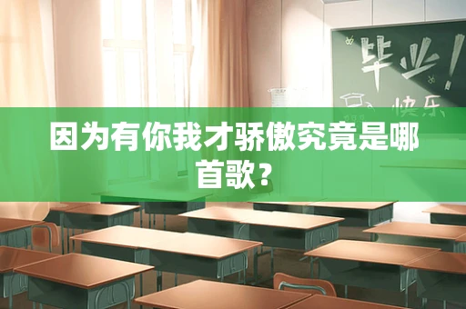 因为有你我才骄傲究竟是哪首歌？