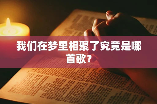 我们在梦里相聚了究竟是哪首歌？