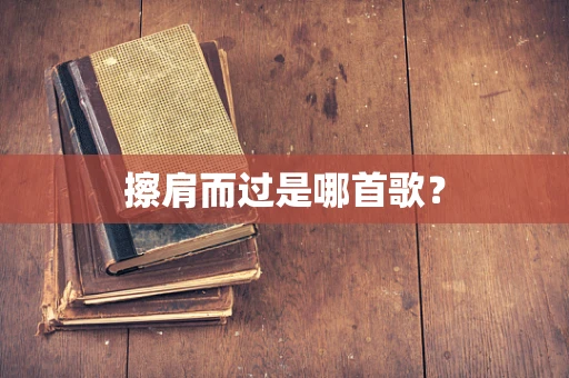 擦肩而过是哪首歌？