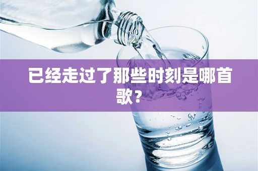 已经走过了那些时刻是哪首歌？