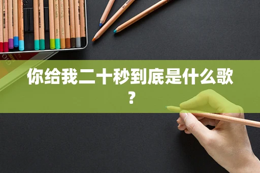 你给我二十秒到底是什么歌？