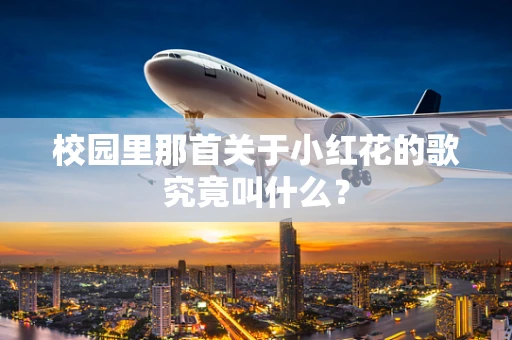 校园里那首关于小红花的歌究竟叫什么？