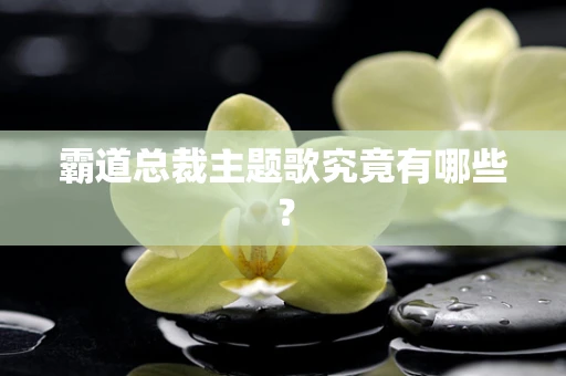 霸道总裁主题歌究竟有哪些？