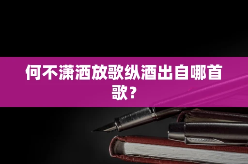 何不潇洒放歌纵酒出自哪首歌？