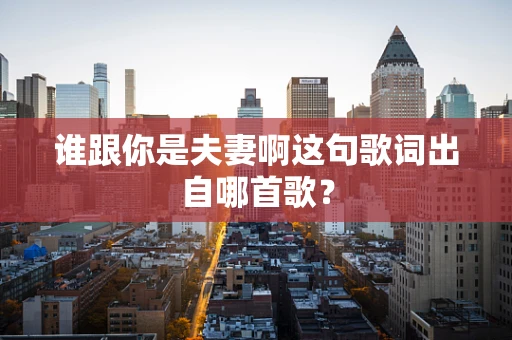 谁跟你是夫妻啊这句歌词出自哪首歌？
