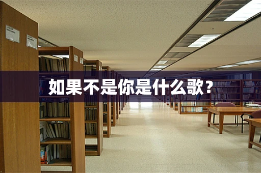 如果不是你是什么歌？