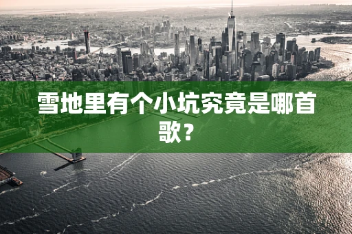 雪地里有个小坑究竟是哪首歌？