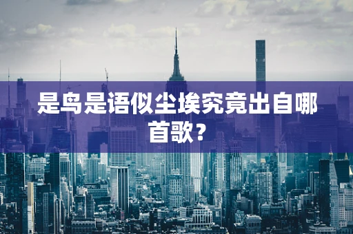 是鸟是语似尘埃究竟出自哪首歌？