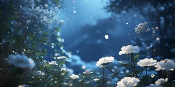 夏天夜晚究竟听什么歌好呢？