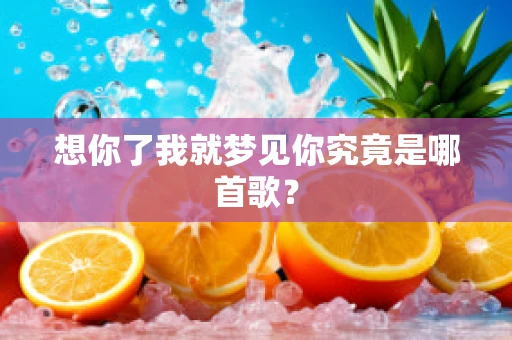 想你了我就梦见你究竟是哪首歌？