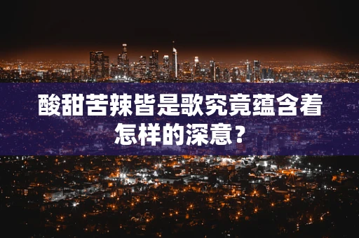 酸甜苦辣皆是歌究竟蕴含着怎样的深意？