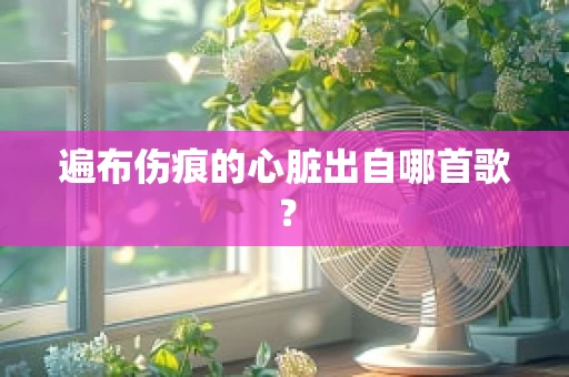 遍布伤痕的心脏出自哪首歌？