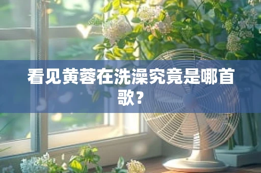 看见黄蓉在洗澡究竟是哪首歌？