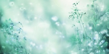 再过几天到明年究竟是哪首歌？