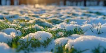 寒融雪化出自什么歌？
