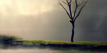 轻喃南轻歌为何分手？