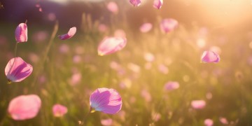 拥有果香的快乐究竟是哪首歌？