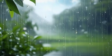 我是洒洒水出自什么歌？