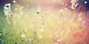 真的有告别当初的你这首歌吗？