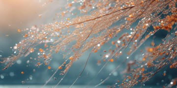 春风秋雨总有寒究竟出自哪首歌？