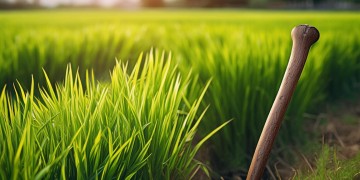 锄禾60 - 就散对应的歌究竟是什么？