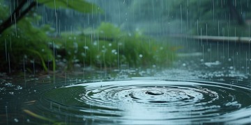 心却在风雨摇摆出自哪首歌？