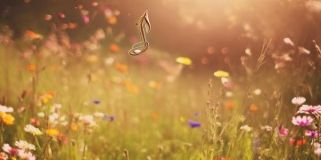 大孩子究竟是何时的歌？