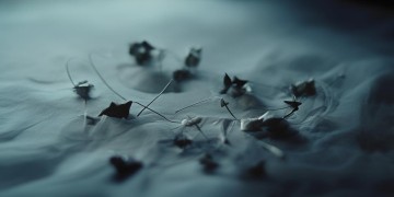 找不到你坚定的眼眸出自哪首歌？