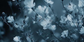 总在深夜放芳华究竟是哪首歌？