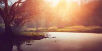 让她在你心中消失出自哪首歌？