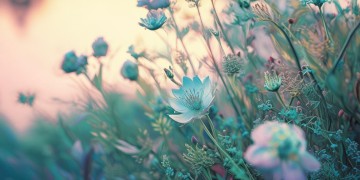 没有最美的眼睛究竟出自哪首歌？