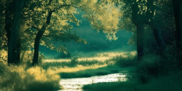 住这个老神仙到底是什么歌？