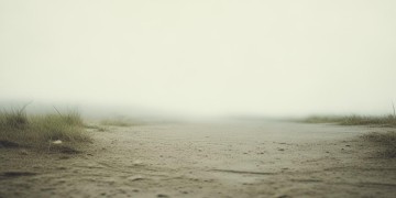 整个世界都缺乏安全感究竟是哪首歌？