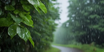 淅沥沥的细雨出自哪首歌？