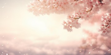 相信依旧出自什么歌？